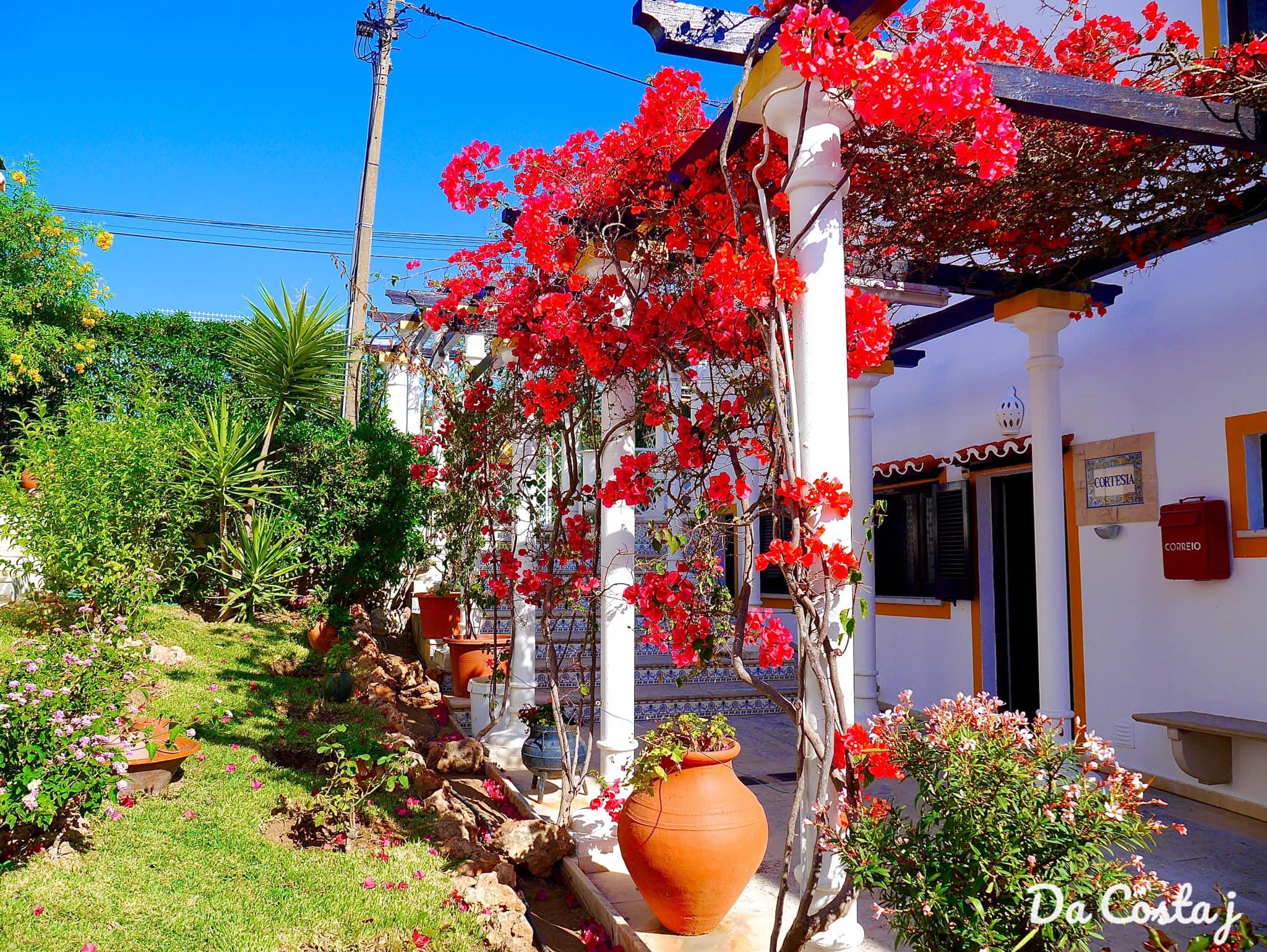 Muthu Balaia Sol 3* Albufeira